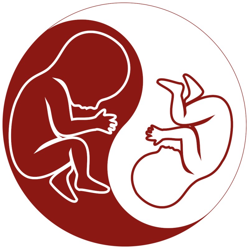 TAPS-logo-redesign-final-brand-red-1000x1000