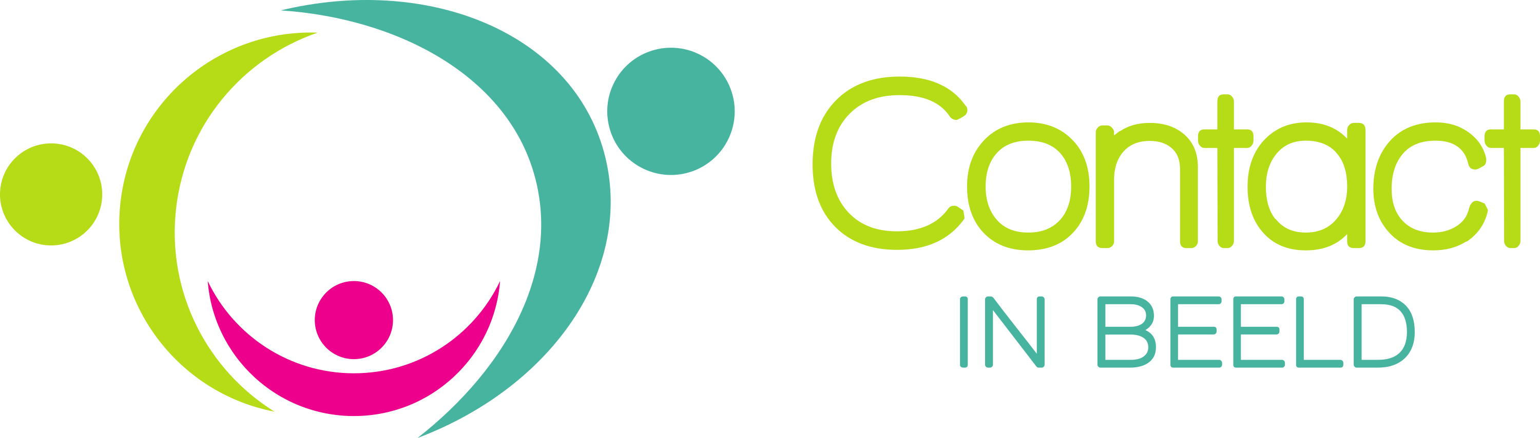 Logo CIB_liggend 3000 pix[23]